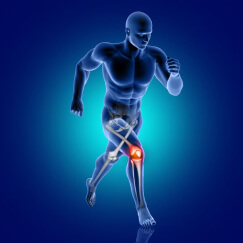 physiotherapy Mansa